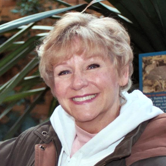 Lynn Costanzo